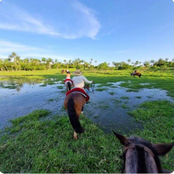 Cavalgada Ecológica
