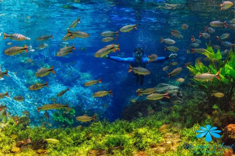 Flutuação na Nascente Azul