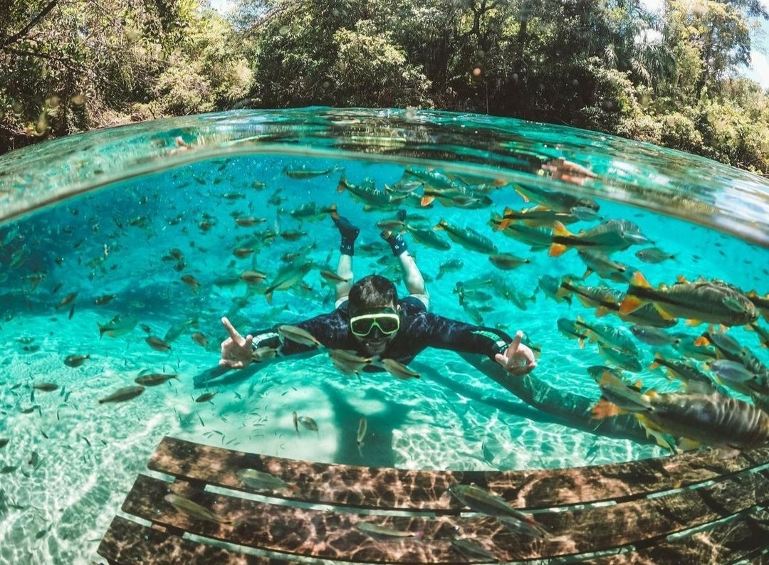 Flutuação Rio da Prata